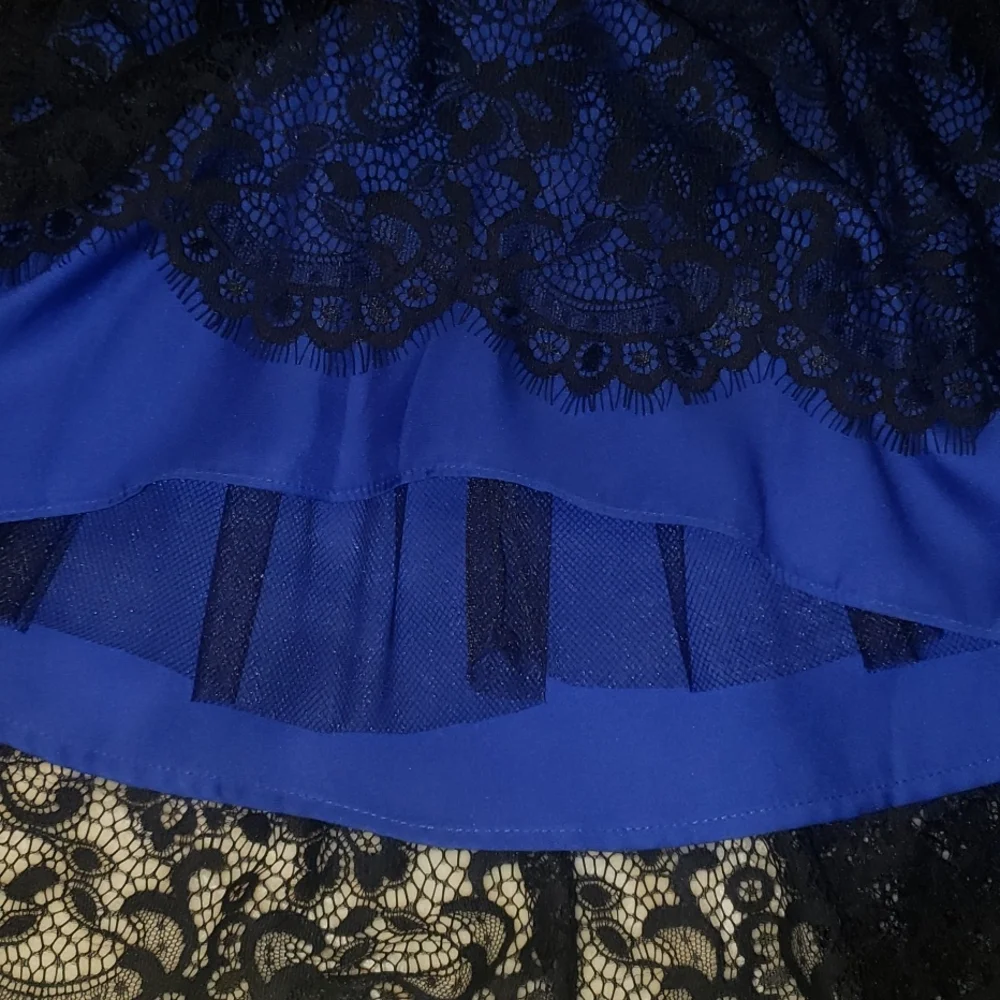 Moulinette Sowers Silk Blur and Black Lace Tulle Dress NWOT - Picture 4 of 9